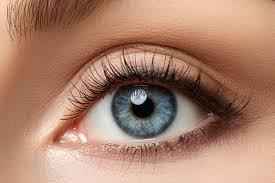 eyes