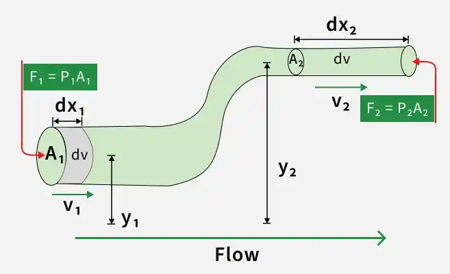 bernoulli_s_