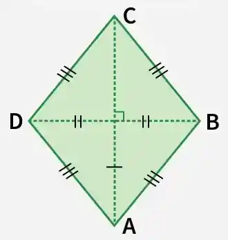 rhombus