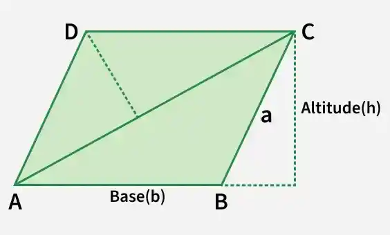 rhomboid