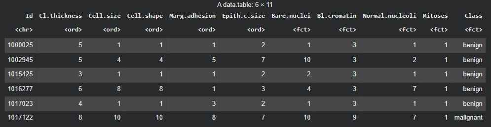 Dataset
