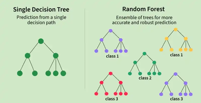 random_forest