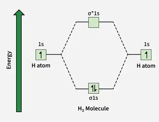 case_2