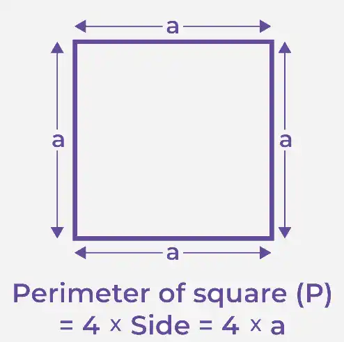 Perimeter-of-Square-2