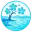 RinCoin