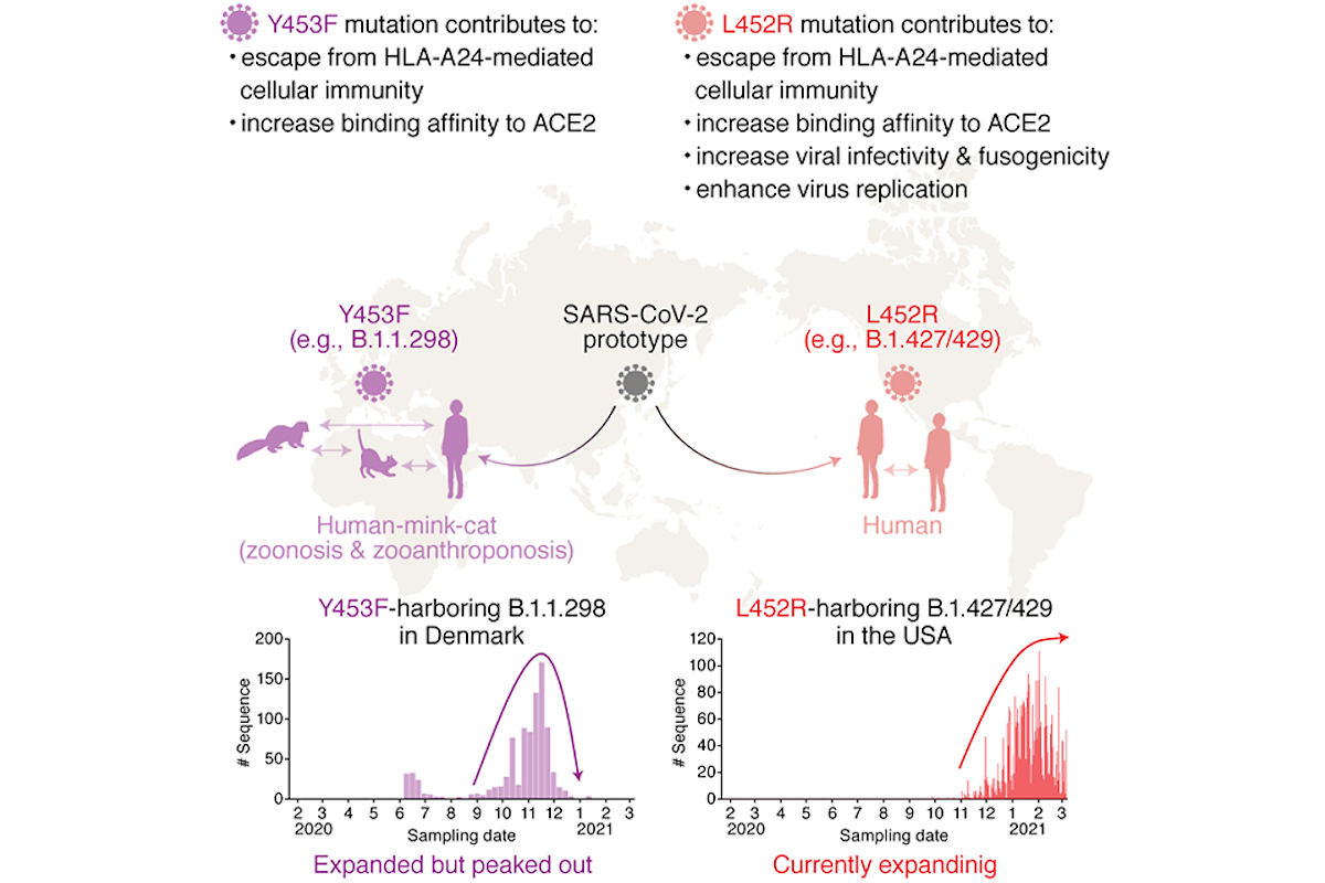 alt属性はこちら