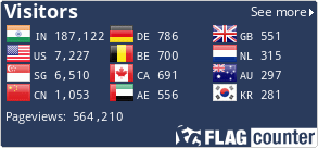Flag Counter