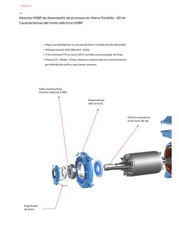 |  A B B 2 0 2 3
Engrasador
de acero
Sellos Gamma Ring
(frames mayores a 160)
Rodamientos
SKF serie 63
Orificio roscado en
el