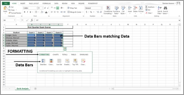 Formatting Data Bar
