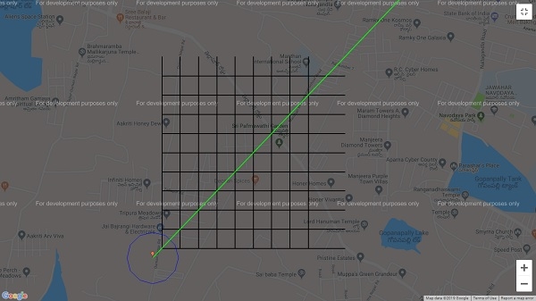 Generated Google Map with markers, paths and circles
