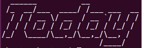 Figlet ASCII text output