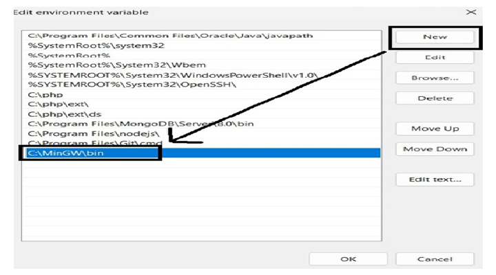 Environment Variable