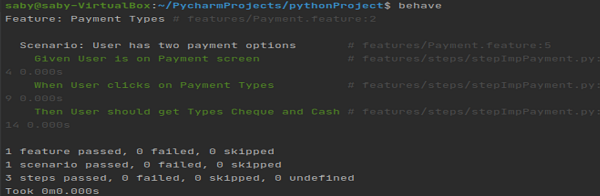Running the Feature File