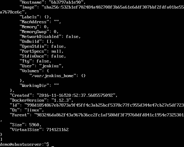 Docker Inspect
