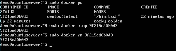 Docker RM