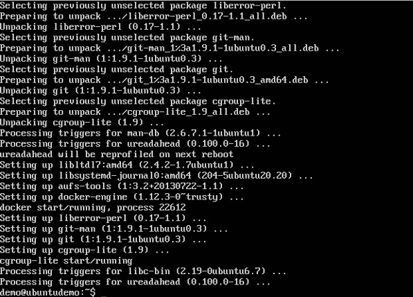 Docker Version Output