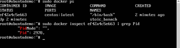 Inspect Command