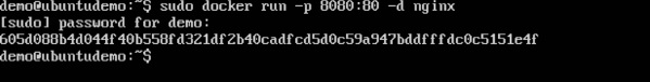 NGINX Server