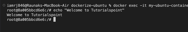 Running the Container Ubuntu 2