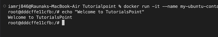 Running the Ubuntu Container