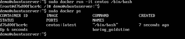 Shell Command
