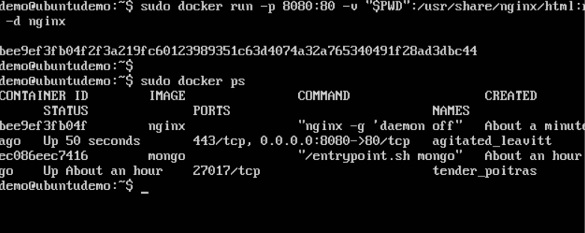 Working Directory