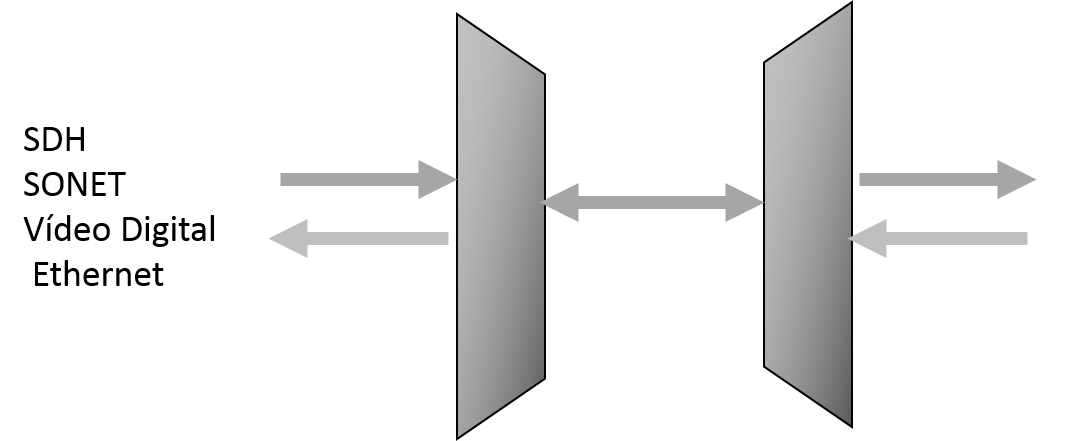 independencia protocolo