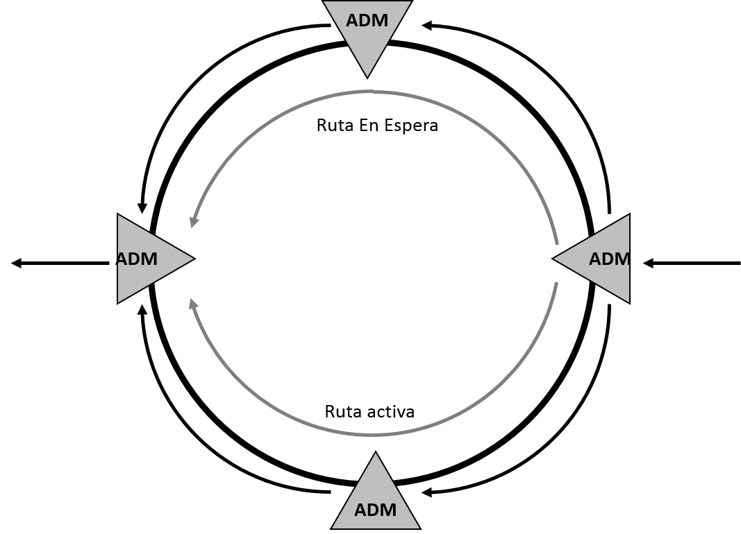 SDH Red de Resiliencia