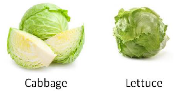 Bud Vegetables