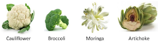 Flower Vegetables