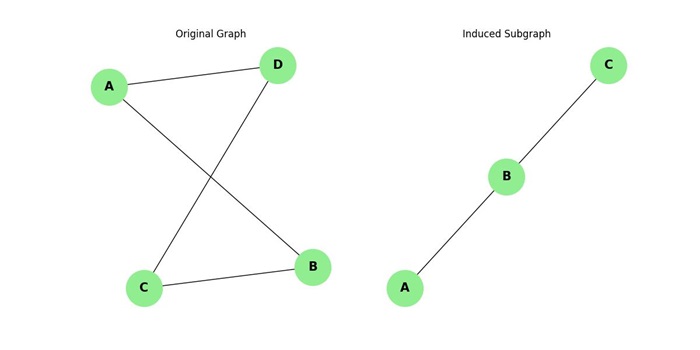 Induced Subgraph