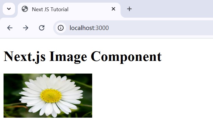 Height width prop of Image