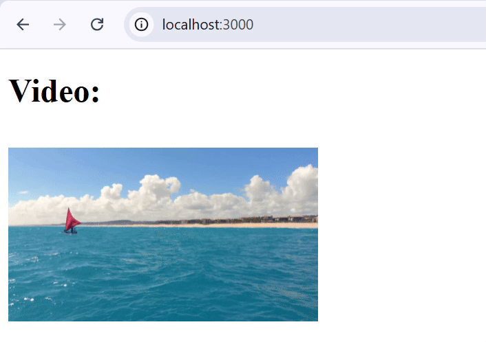 Next.js Video Optimization Video