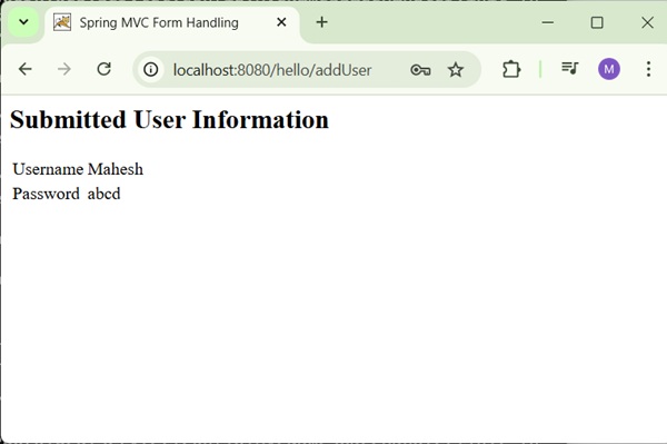 Spring Password Form Result