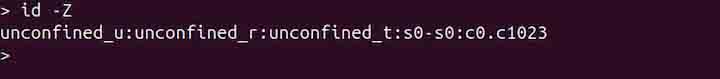 id Command in Linux3
