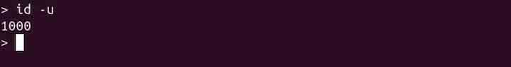 id Command in Linux9