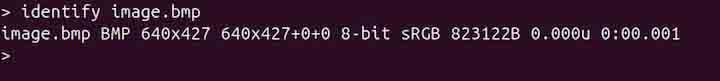identify Command in Linux3