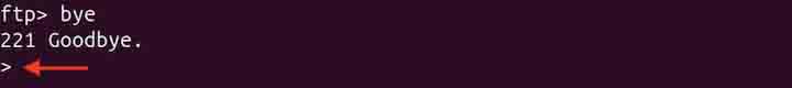 pftp Command in Linux12