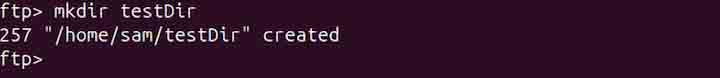 pftp Command in Linux4