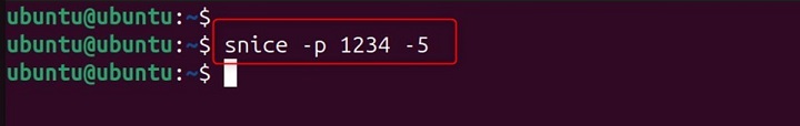 snice Command in Linux10