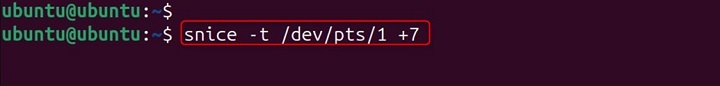 snice Command in Linux4