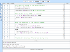Script editor & debugger