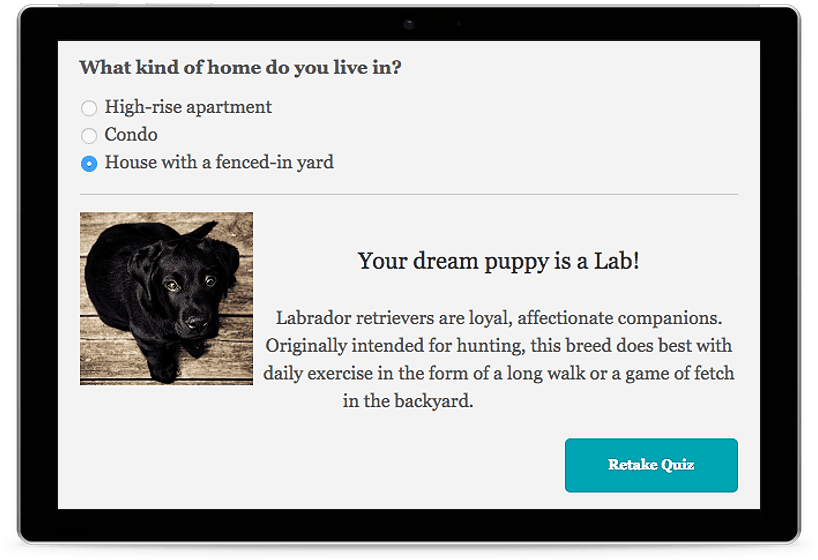Personality Test - AccessAlly Tablet with personality quiz results