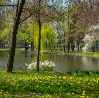 صورة نموذجية واقعية 1