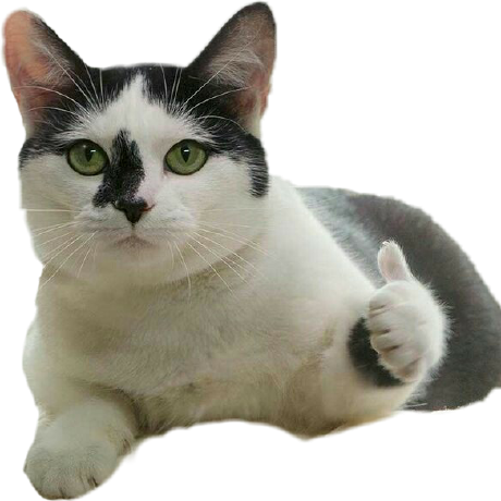 @testkun08080