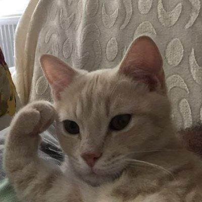 @hermesthecat
