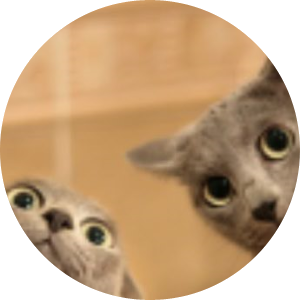 @bprb