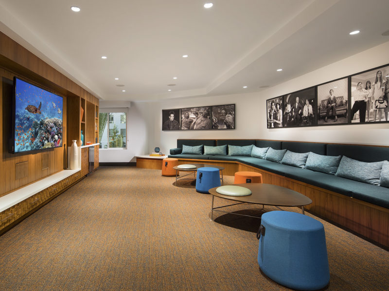 Pro Accounts 1 Best Framing 1