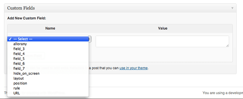 Native WordPress "Custom Fields" panel