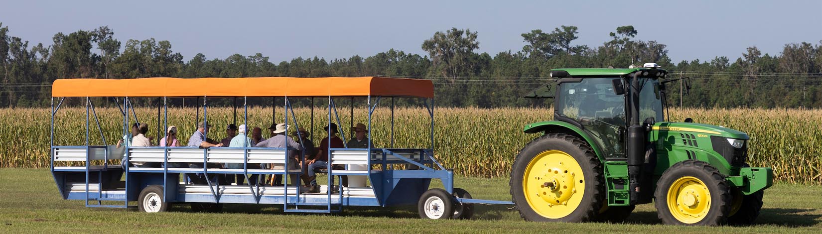 A green tractor pulls an open-air trailer with people seated inside across a grassy field, with cornfields and trees in the background.